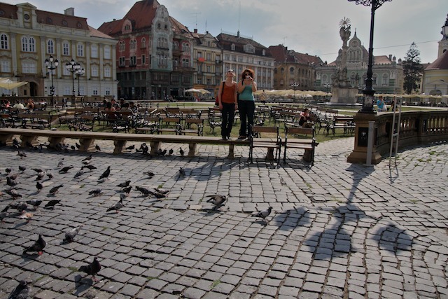 Timisoara 6